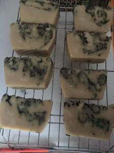 12705228_10153877723232973_4521669944669015792_n