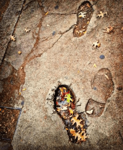 for show with toshie 2