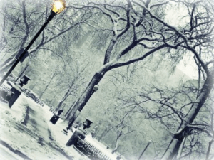 for show with toshie1