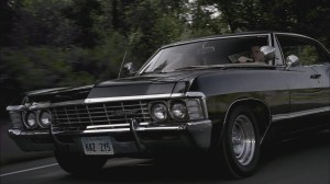 SPN_0043_(Impala)