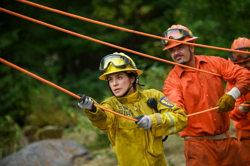 Capture.PNGfirecountry3