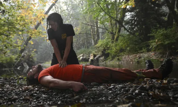 Capture.PNGfirecountry1