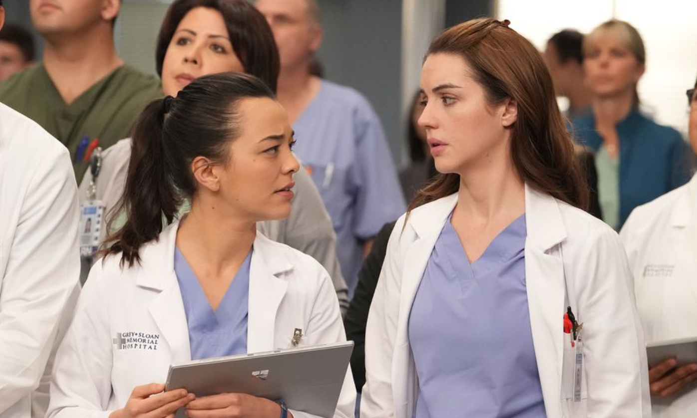 Capture.PNGgreysanatomy3